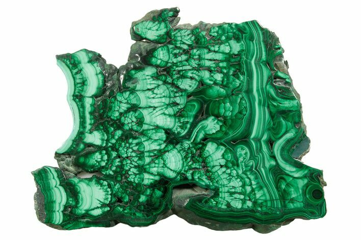 Flowery Polished Malachite Slab - D R Congo #379803
